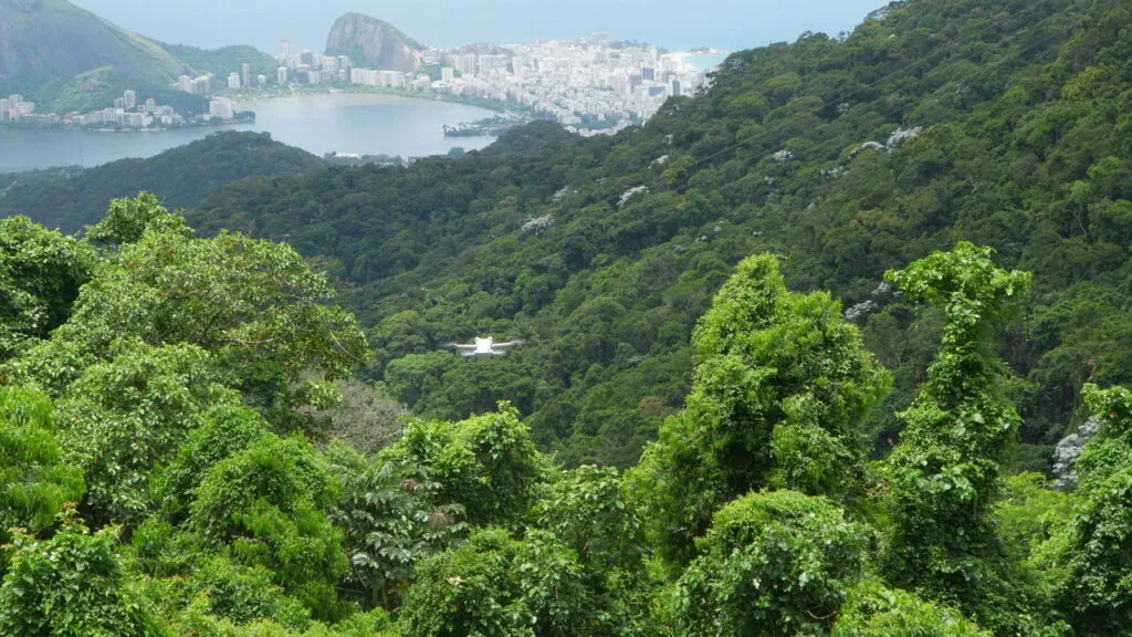 Rio XP Vibe